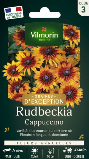 L&G | Kit Bonsaï Intérieur Complet – Idée Cadeau Jardinage Avec 6 Graines à Faire Pousser Et Accessoires De Qualité | Fait En France