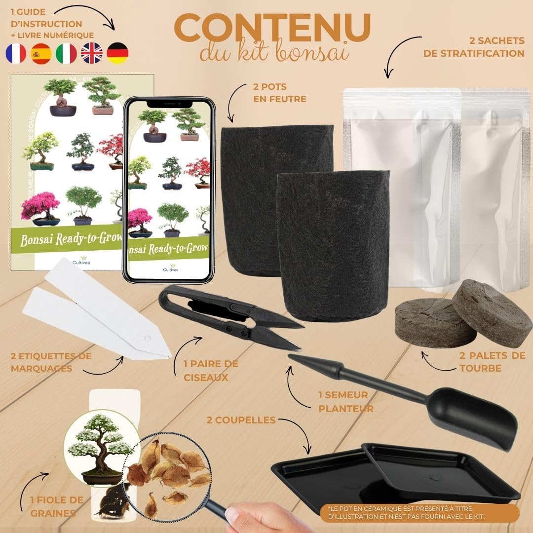 CULTIVEA Kit Prêt à Pousser Bombes De Graines Fleurs Pour Abeilles - 100% Bio Made In France