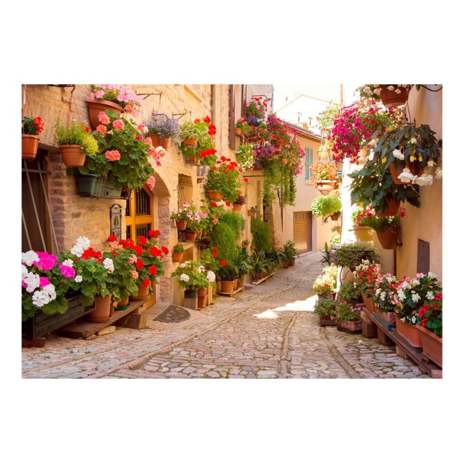 Papier peint la ruelle en orthographe - 300 x 210 cm - 2