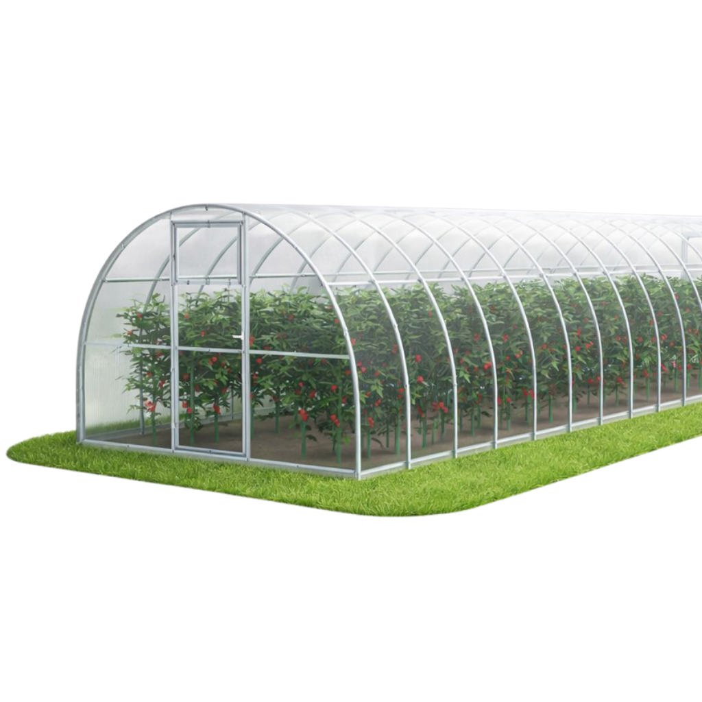 Szklarnia ogrodowa Tunel 3x12 m profile 40x20 poliwęglan 6mm - Szklarnia z poliwęglanu