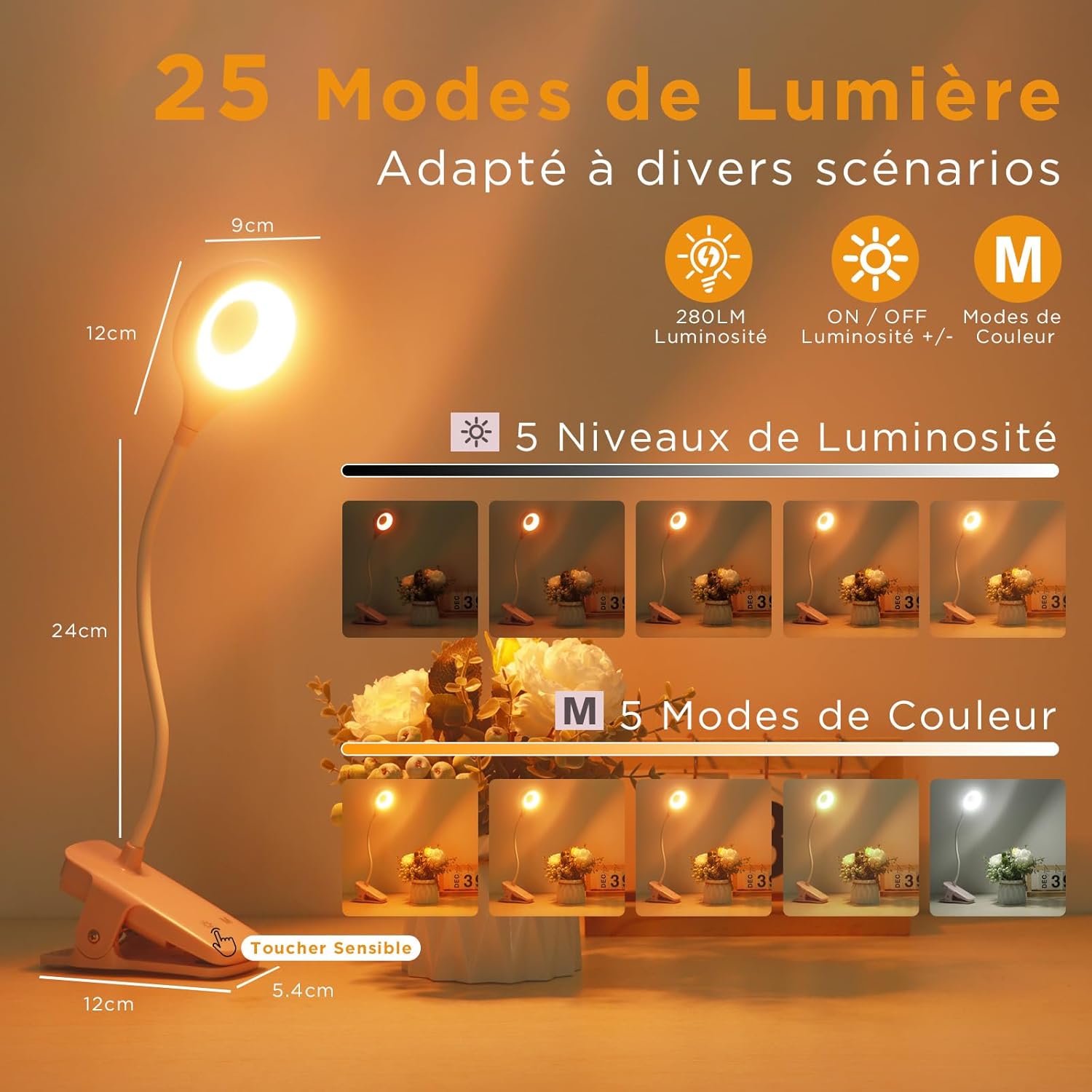 Lampe De Bureau Rechargeable Rose à Pince | 5 Intensités Et 5 Couleurs ...