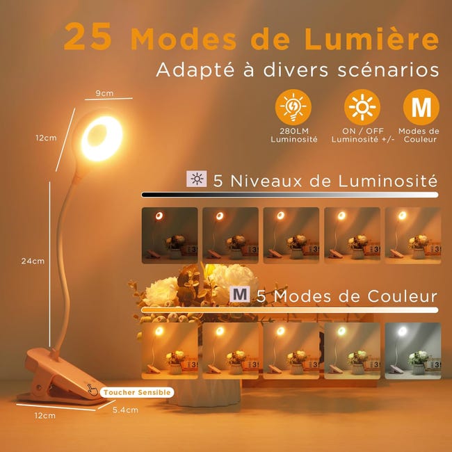 Lampe De Bureau Rechargeable Rose à Pince | 5 Intensités Et 5 Couleurs ...