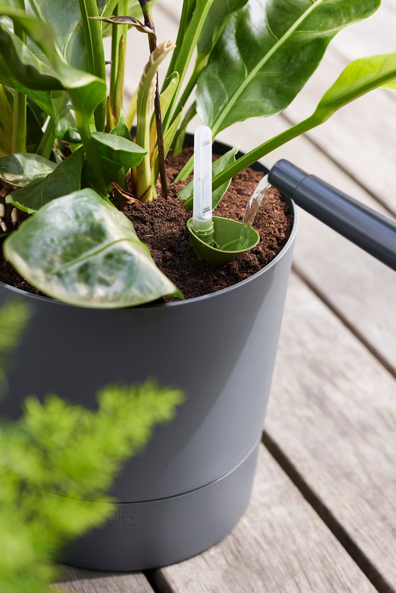 Pot polypropylène rond ELHO Greensense 30 cm, gris foncé - 5