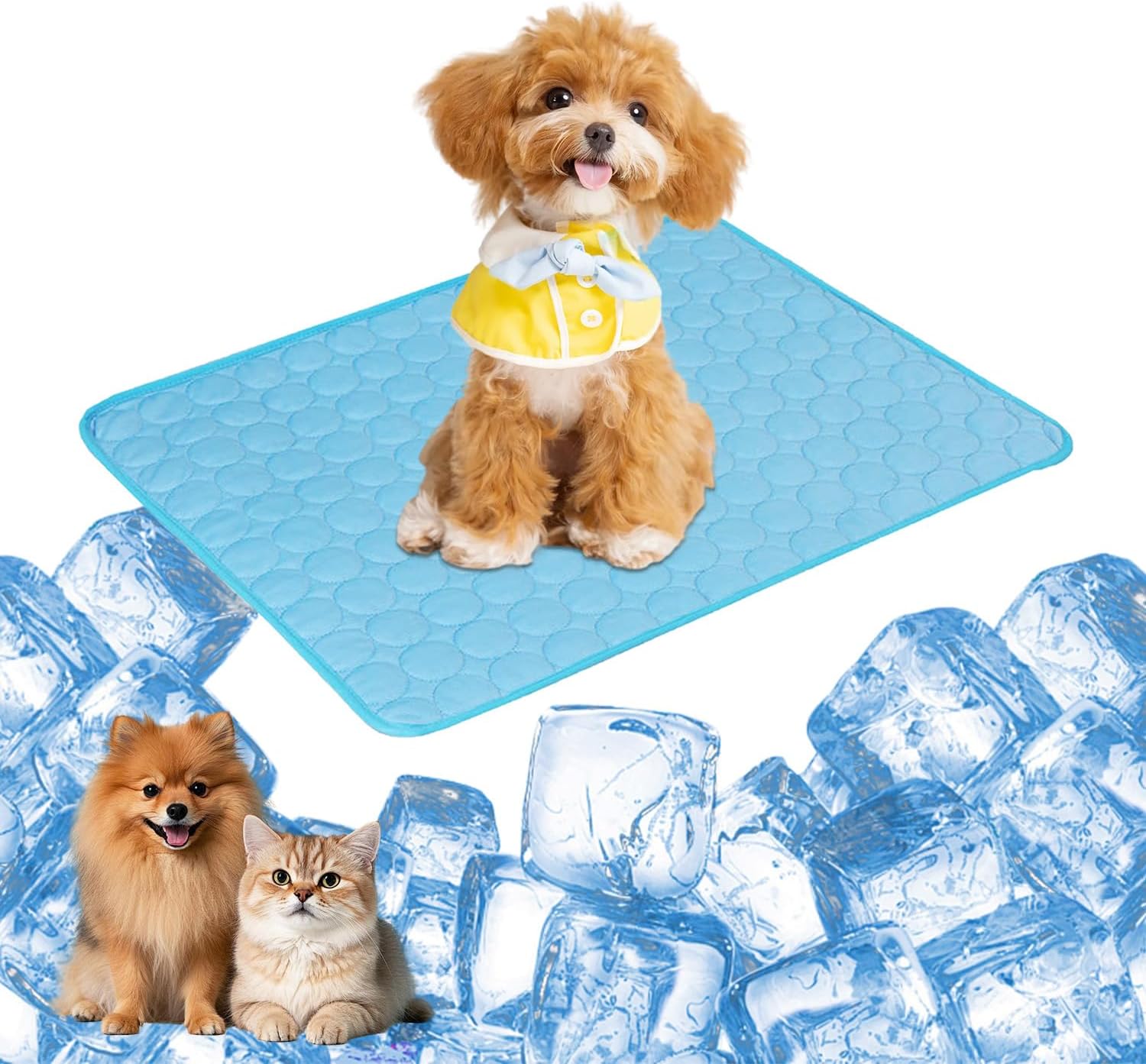Tapis Rafraîchissant PET COOL MAT | Pension Pour Chiens Et Chats