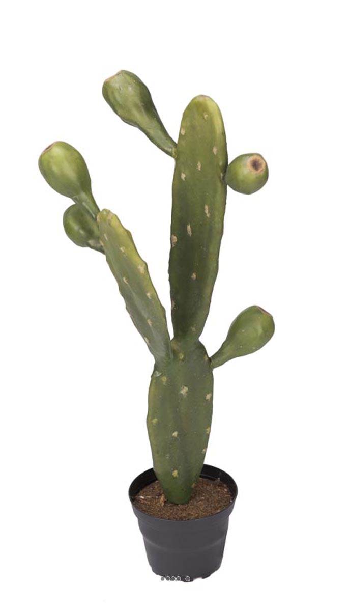 Cactus Artificiel En Pot 207 Cm | Fleurs / Plantes Artificielles | Pier