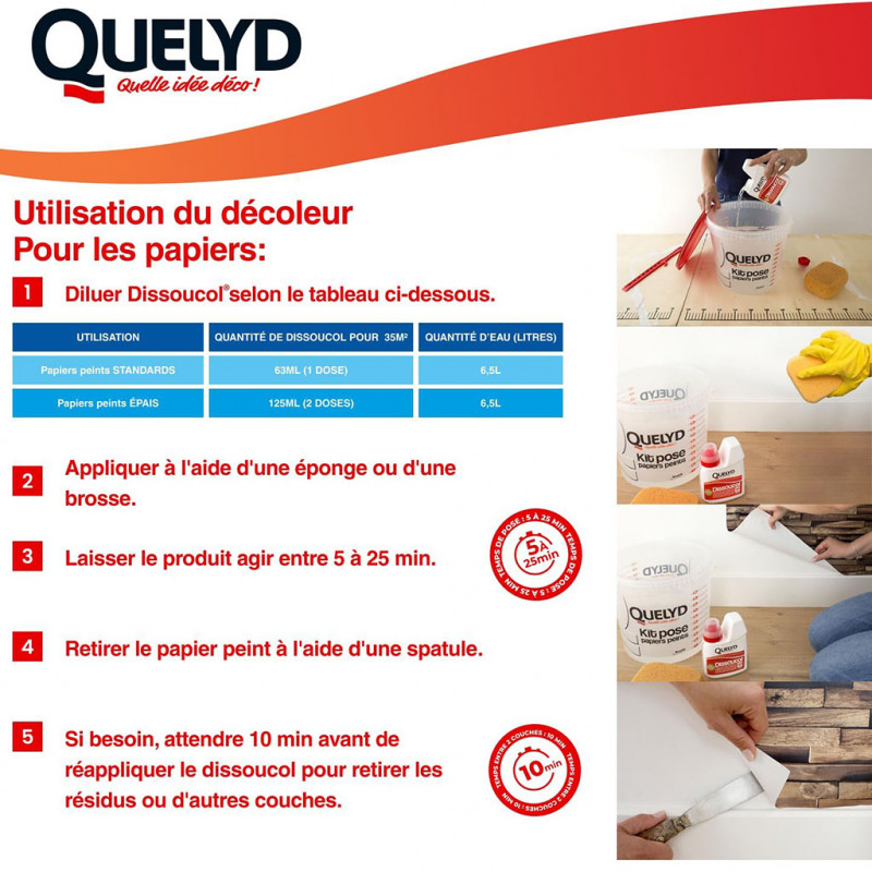 Dissoucol Quelyd stripper 250 Ml Quelyd, 0,25 Kg - 4