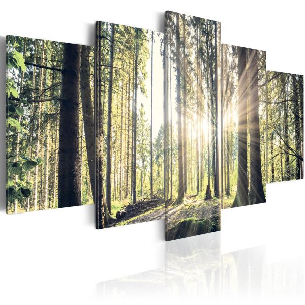 Tableau Forest Temple 100x50 cm | Leroy Merlin