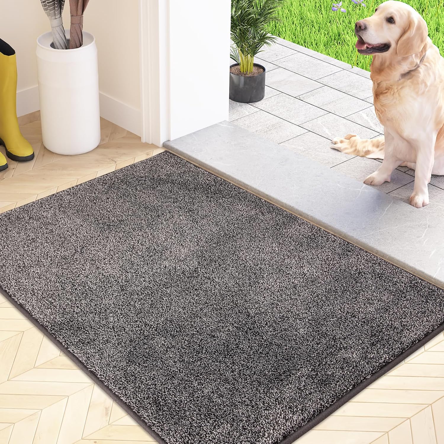 Felpudo gris de 60 x 90 cm, antipolvo, antideslizante, lavable a máquina, de microfibra suave y absorbente, ideal para perros, entradas, portones y