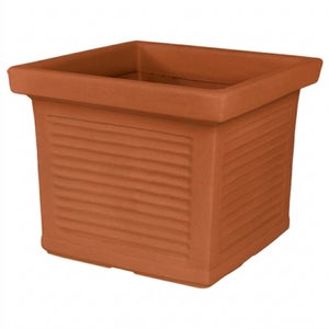 Vasi Piante Plastica Drenaggio BELLE VOUS 10 Pezzi Vasi Plastica Bianchi Da Interno - Vasi Interno Da 13,5 Cm Con Fori Di Drenaggio E Sottovasi - Vasi Decorativi Per Piante D'Appartamento, Piante