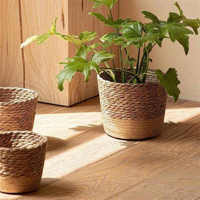 Conjunto de 3 peças, vasos de vime natural trançado, cesto para plantas em rattan, cestos decorativos para arrumação em casa.
