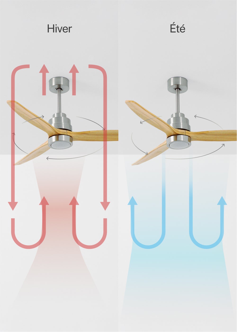 WINDSTYLANCE DC - Ventilateur de Plafond 40W Silencieux Ø132 cm - Avec lumière et contrôleur mural + télécommande - 5