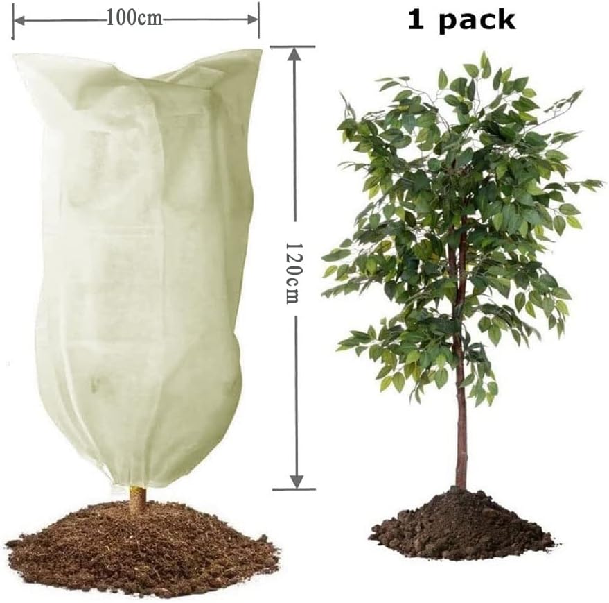 Voile d'hivernage Plante Housses Protection Beige 80g/m² 100 cm x 120 cm avec Fermeture éclair pour Plantes Palmiers en Pot d'olivier Résistant aux Dé - 2