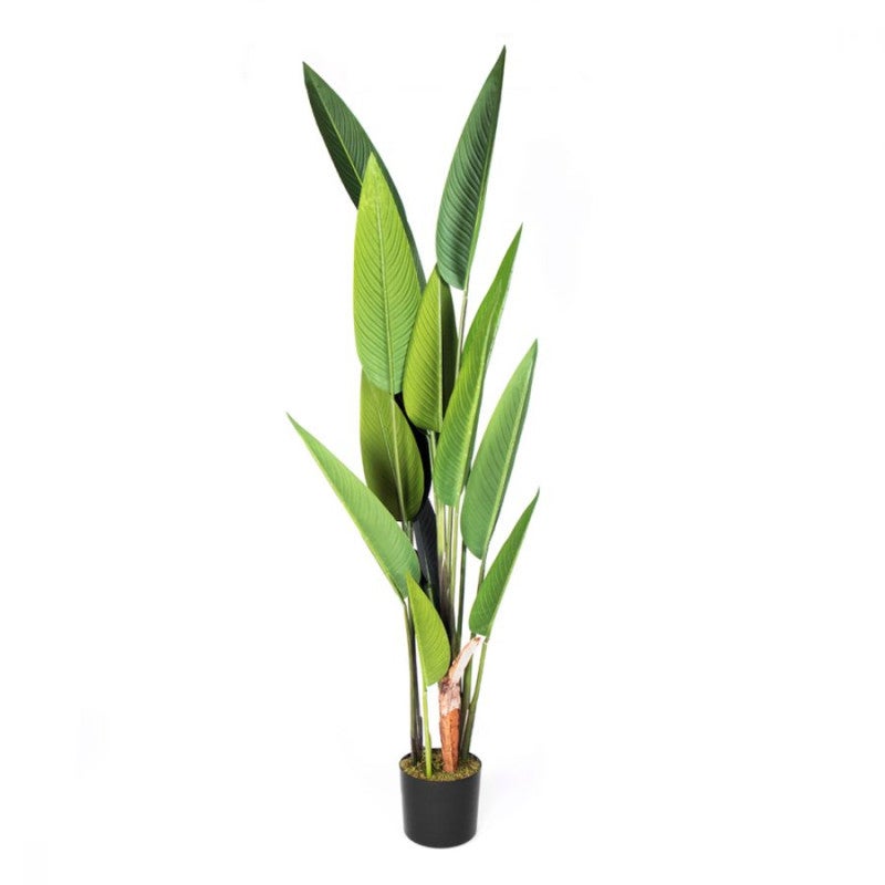 Albero Artificiale Uccello Del Paradiso In Seta, 200 Cm (6,6 Ft), Pianta Finta In Vaso Per Interni/Esterni - Decorazione Per Casa, Soggiorno, Ufficio - 4