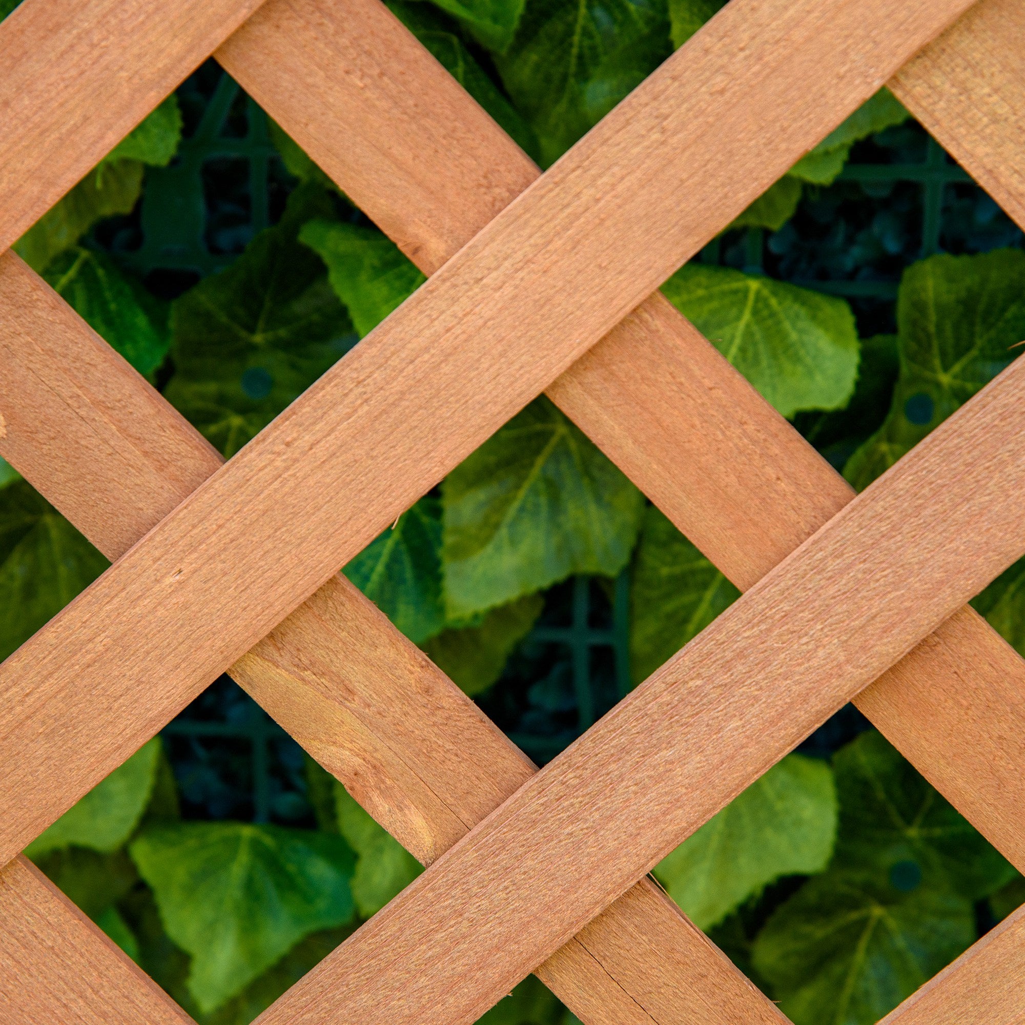 Jardinière sur pieds avec treillis bois sapin pré-huilé - 8