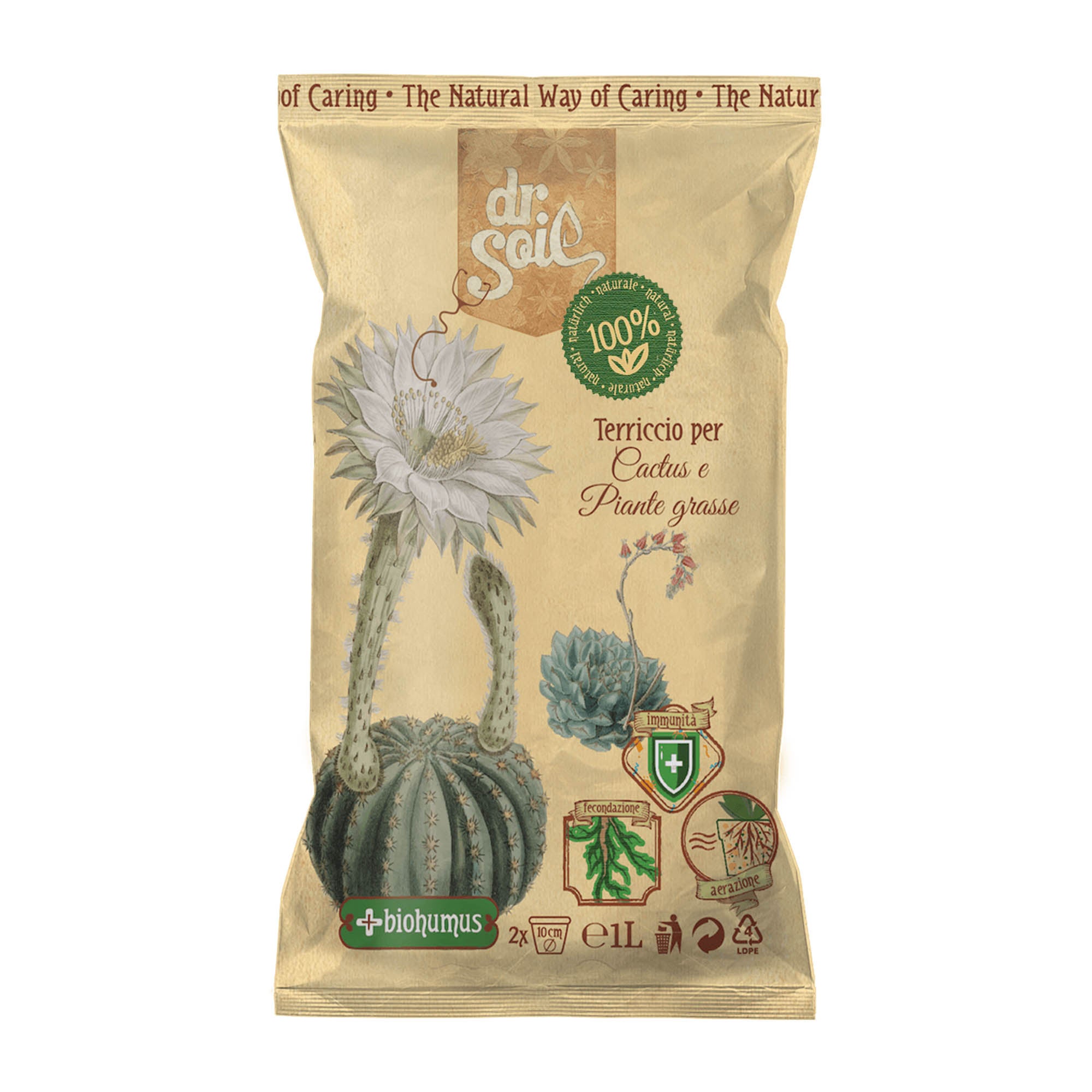 Dr. Soil Terreau pour Cactus et Suculentas 1l - 6
