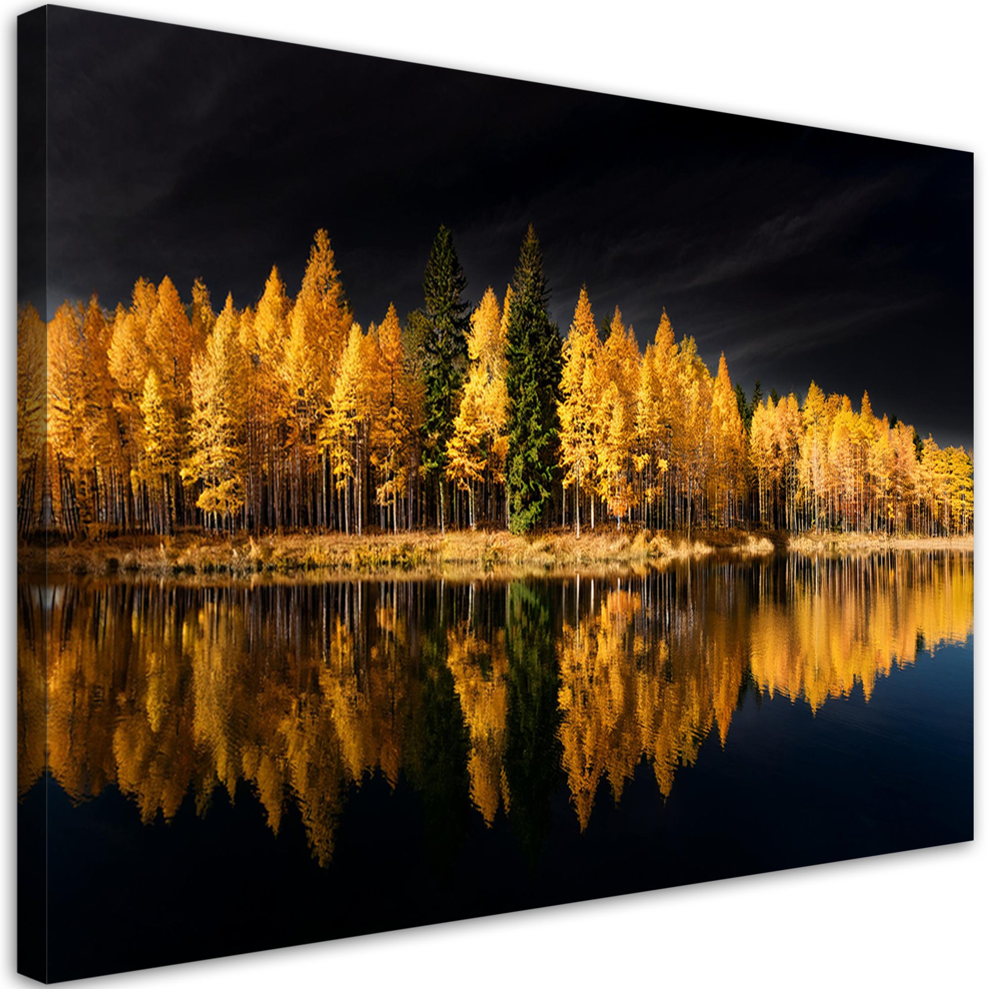 Obraz na płótnie, Krajobraz Las Natura Złoty 100x70
