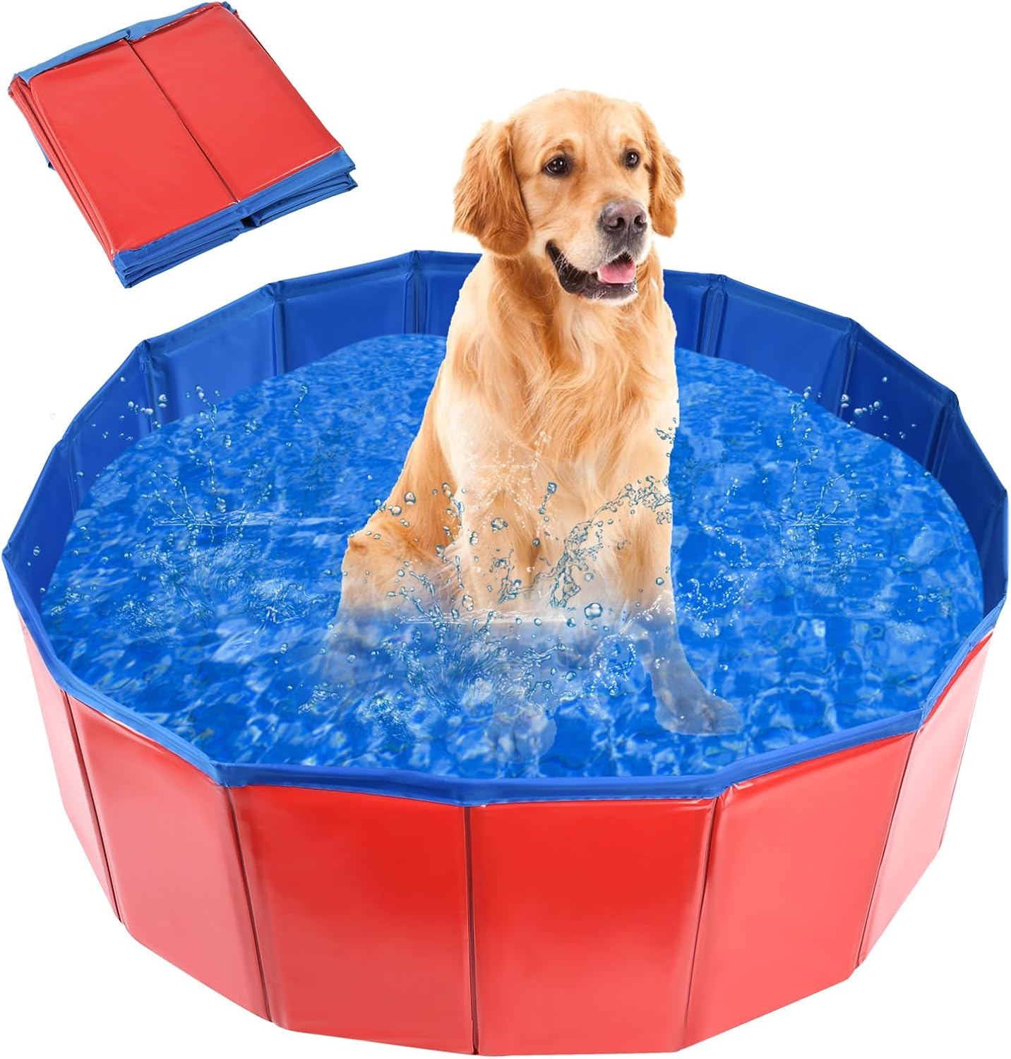 Piscine pour Chiens et Enfants, (160 x 30cm) Piscine Pliable pour