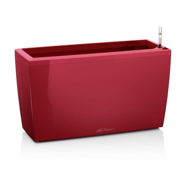 Cararo Premium - set completo, rosso scarlatto lucido 75 cm