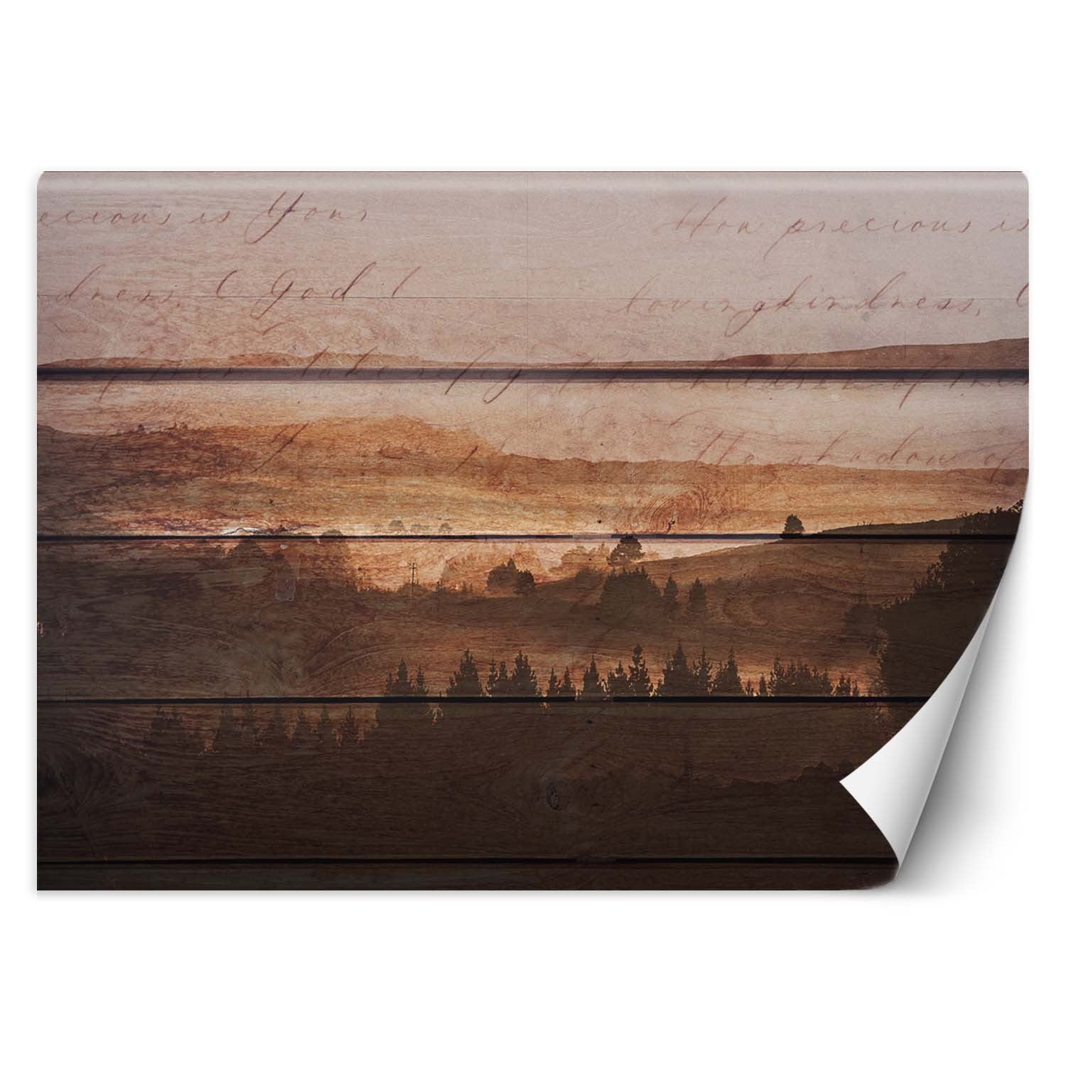 Fototapeta, Las deski vintage 100x70