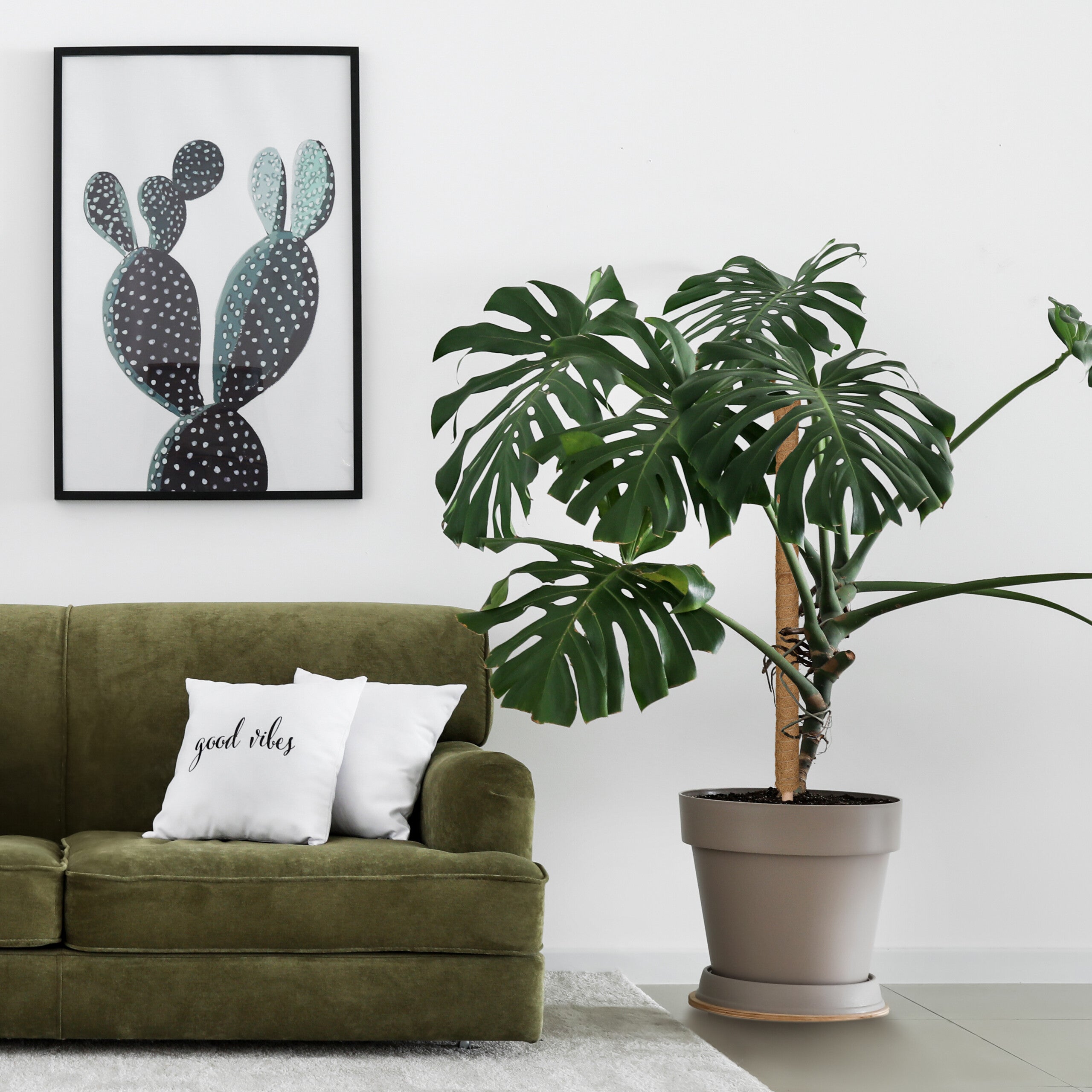 Relaxdays Canne Di Bambù 40 Pezzi, 105 Cm - Sostegno Per Piante Rampicanti, Pomodori, Fagioli, Decorativo - Foto 7