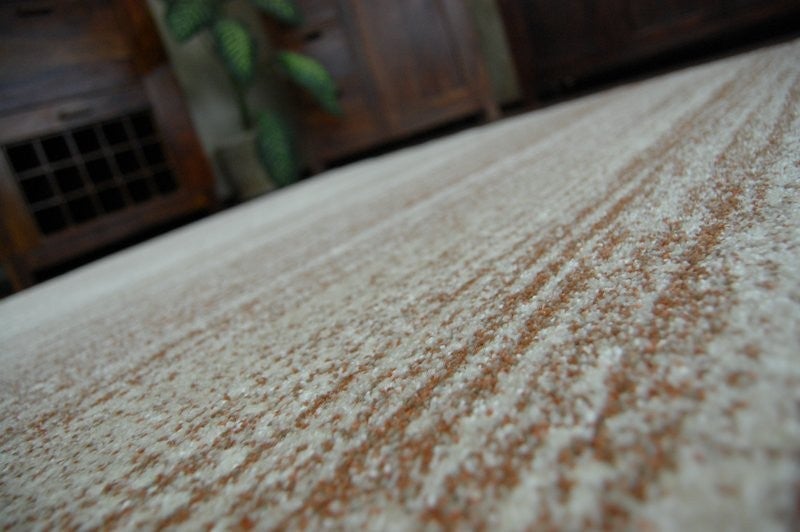 Tappeto SHADOW 8622 rust / crema 140x190 cm - 5