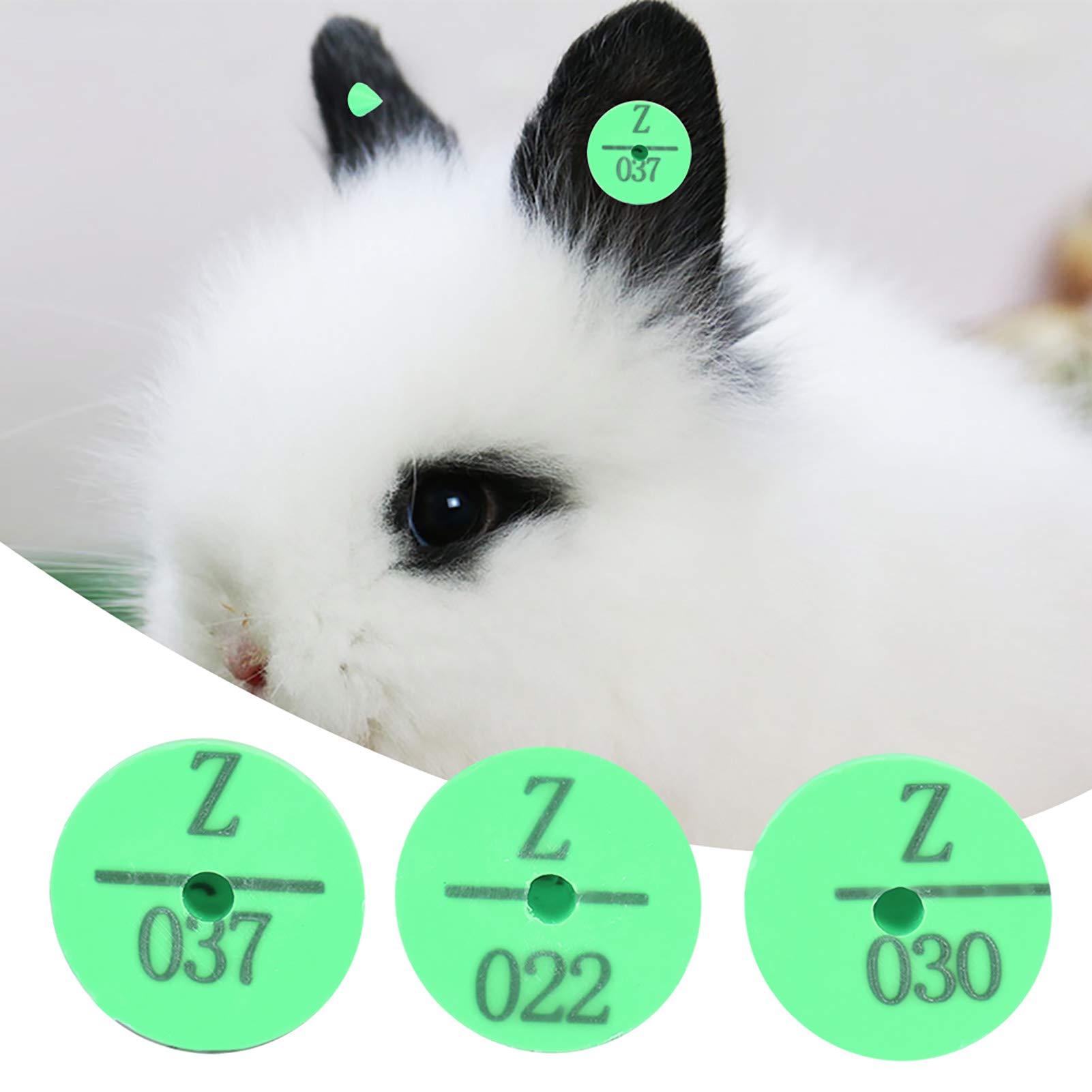Lot De 100 étiquettes D'oreille Pour Animaux | Plastique, Couleur Verte | Numérotées, Pour Marquage Chien, Lapin, Renard