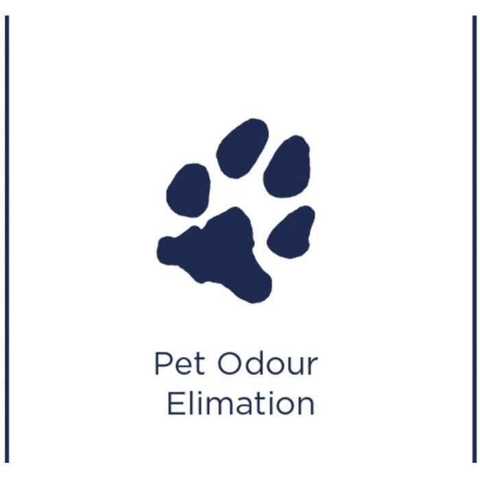 Bissell Pet Stain & Odour - 8