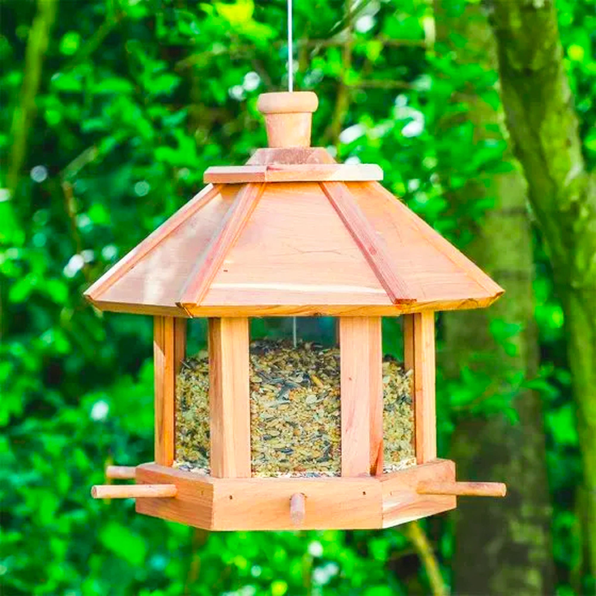 FISHTEC - Mangeoire oiseaux bois cèdre rouge et pin - 6 perchoirs - Hexagonale 26x22 cm - Toit amovible - Fixation murale ou suspendue - 7