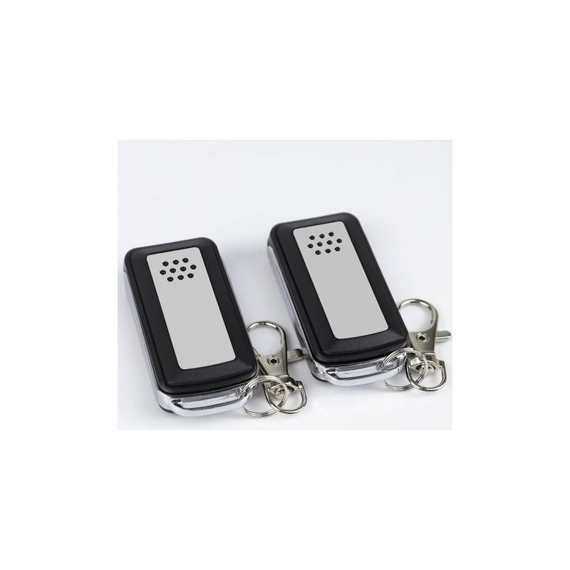 Télécommande 2 boutons à clapet – Compatible motorisations Avidsen ...