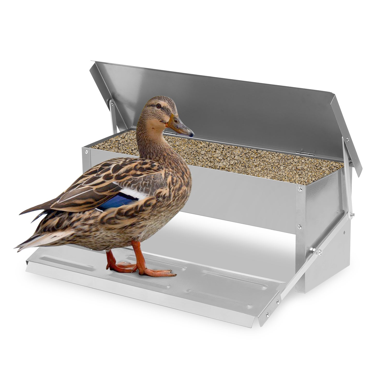 IDMarket Mangeoire à Pédale Pour Poules 5 Kg Anti-Nuisibles - Distributeur Automatique En Acier Galvanisé