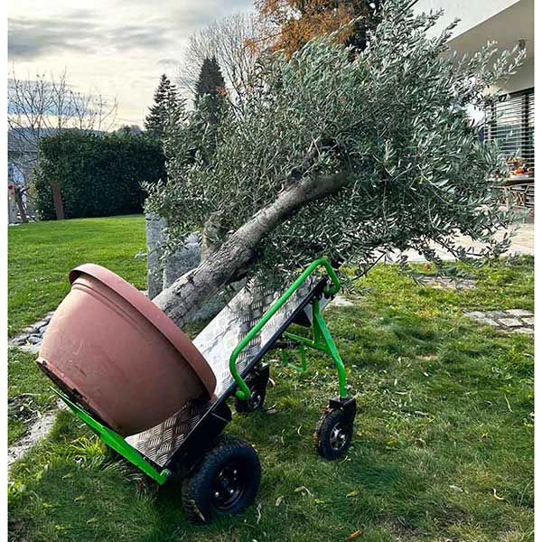 Chariot diable électrique avec grand plateau - Charge 260kg - ZI-ET260 - 4