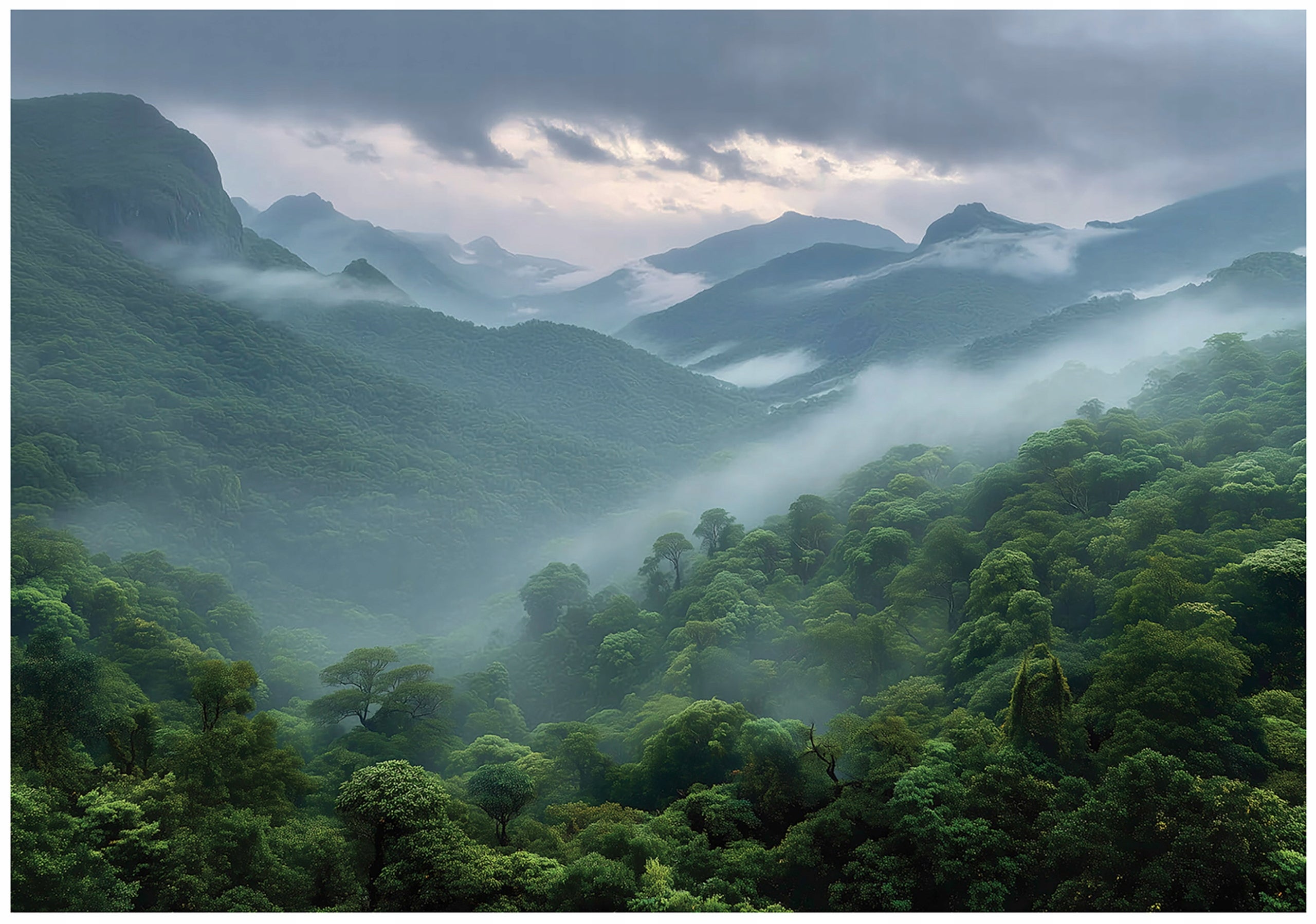 Fototapeta Las we Mgle Góry Natura Krajobraz 300x210 cm Tapeta Do Sypialni Salonu Kuchni Na Flizelinie