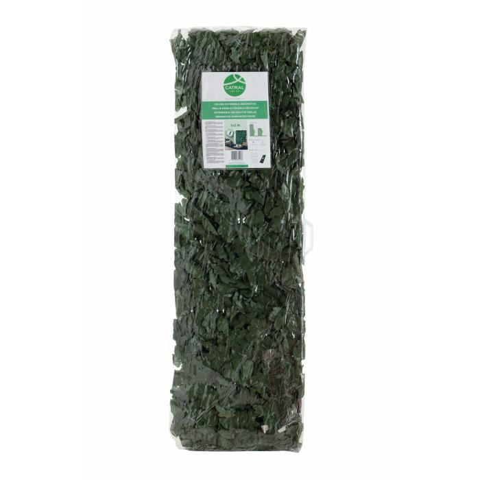 CELOSIA EXTENSIBLE CON HOJAS 1X2 M. - 5