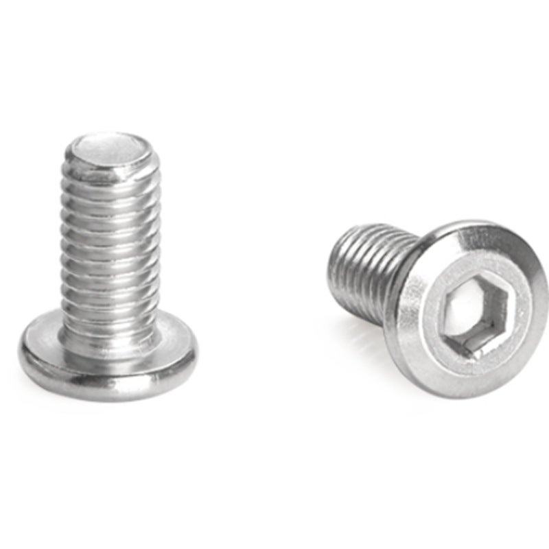 50 Pezzi A Testa Piatta Viti DIN 85 &ndash; Acciaio Inox A2 Con Impronta