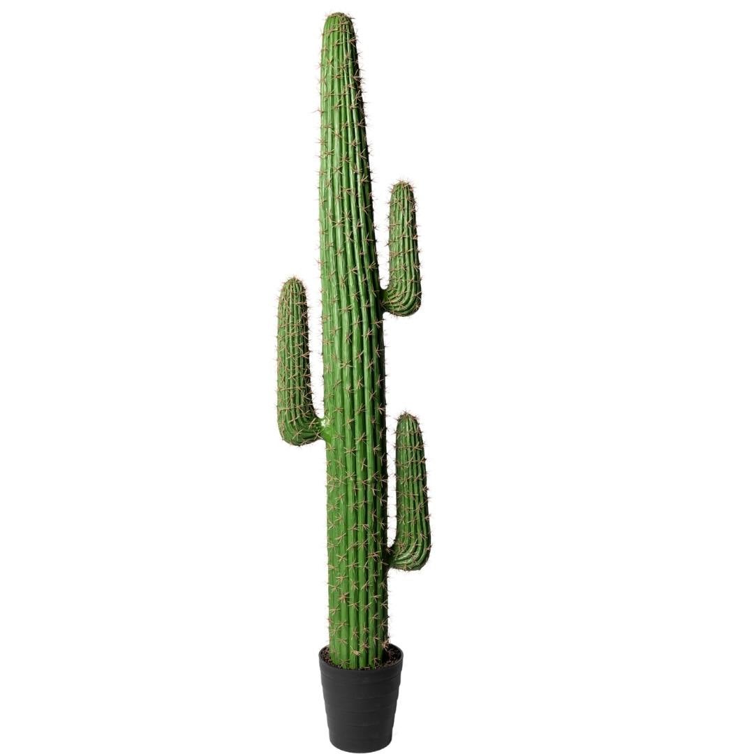Kactus Republic  Planta Artificial Cactus Gigante Saguaro 178Cm. Gran Realismo 4 Brazos Con Maceta Para Decoración Interior Salón Hogar Y Oficina , Leroy Merlin