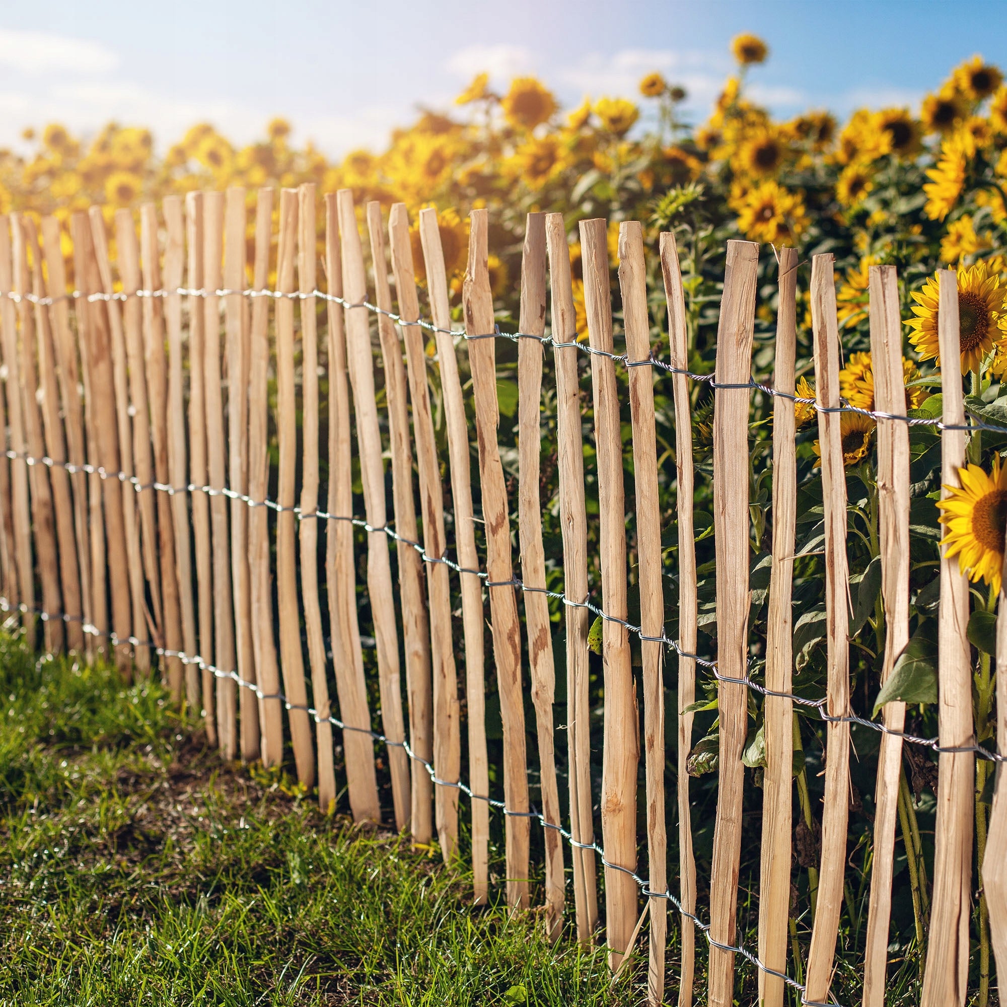 KADAX Staccionata per Giardino in Legno di Nocciolo, Ganivelle Naturale e Resistente per Delimitazione dello Spazio Esterno (4-6 cm, 60 x 500 cm) - 5