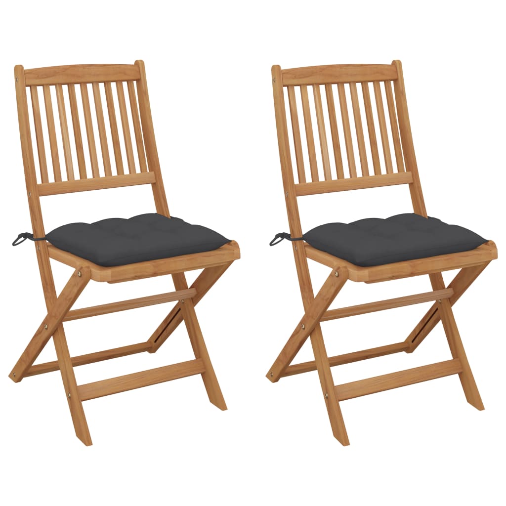 Lot de 2 Chaises pliables de jardin | Siège de Terrasse | Chaise d'extérieur avec coussins Bois d'acacia CFW600872 - 2