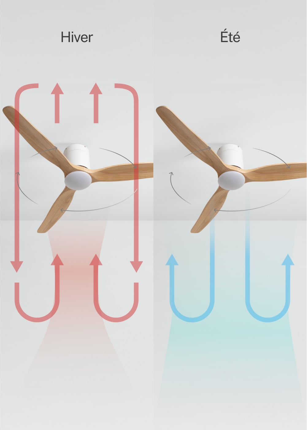CREATE - WIND CALM SLIM LIGHT M - Ventilateur de plafond silencieux 40W Ø132 cm 100 % bois avec eclaraige sans wifi - 4