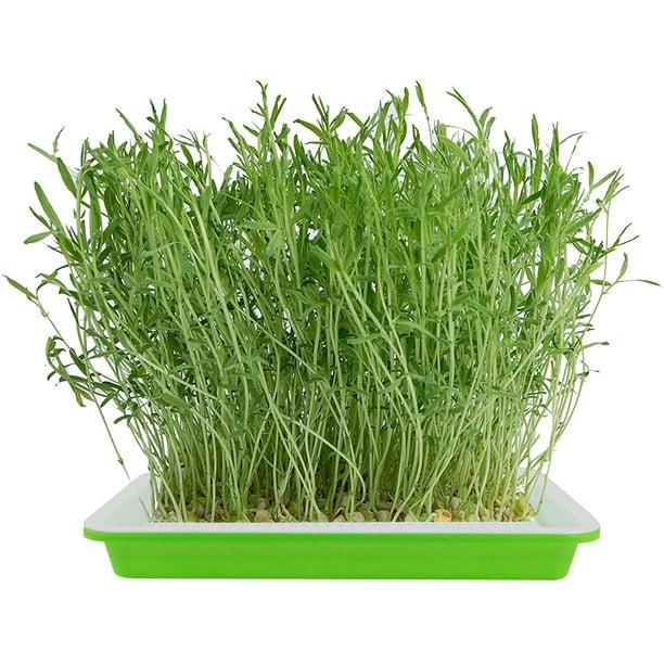 Lot de 5 plateaux de germination de graines avec trous de drainage - Plateaux de propagation de germination de graines sans BPA, kit de culture - 5