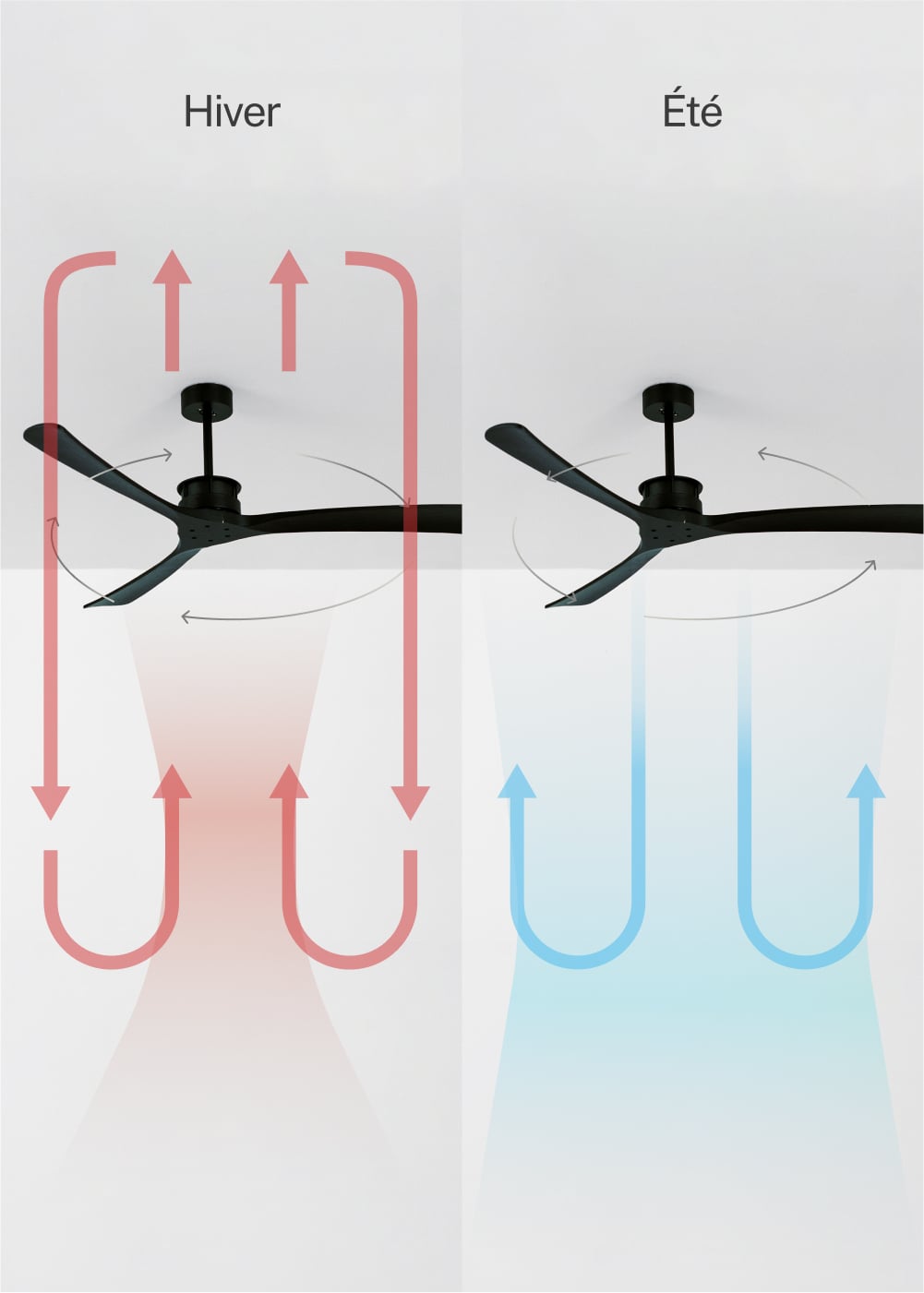 WIND LARGE DC - Ventilateur de Plafond 40W Silencieux XL Ø152 cm - Sans Lumière et Sans WIFI - 4