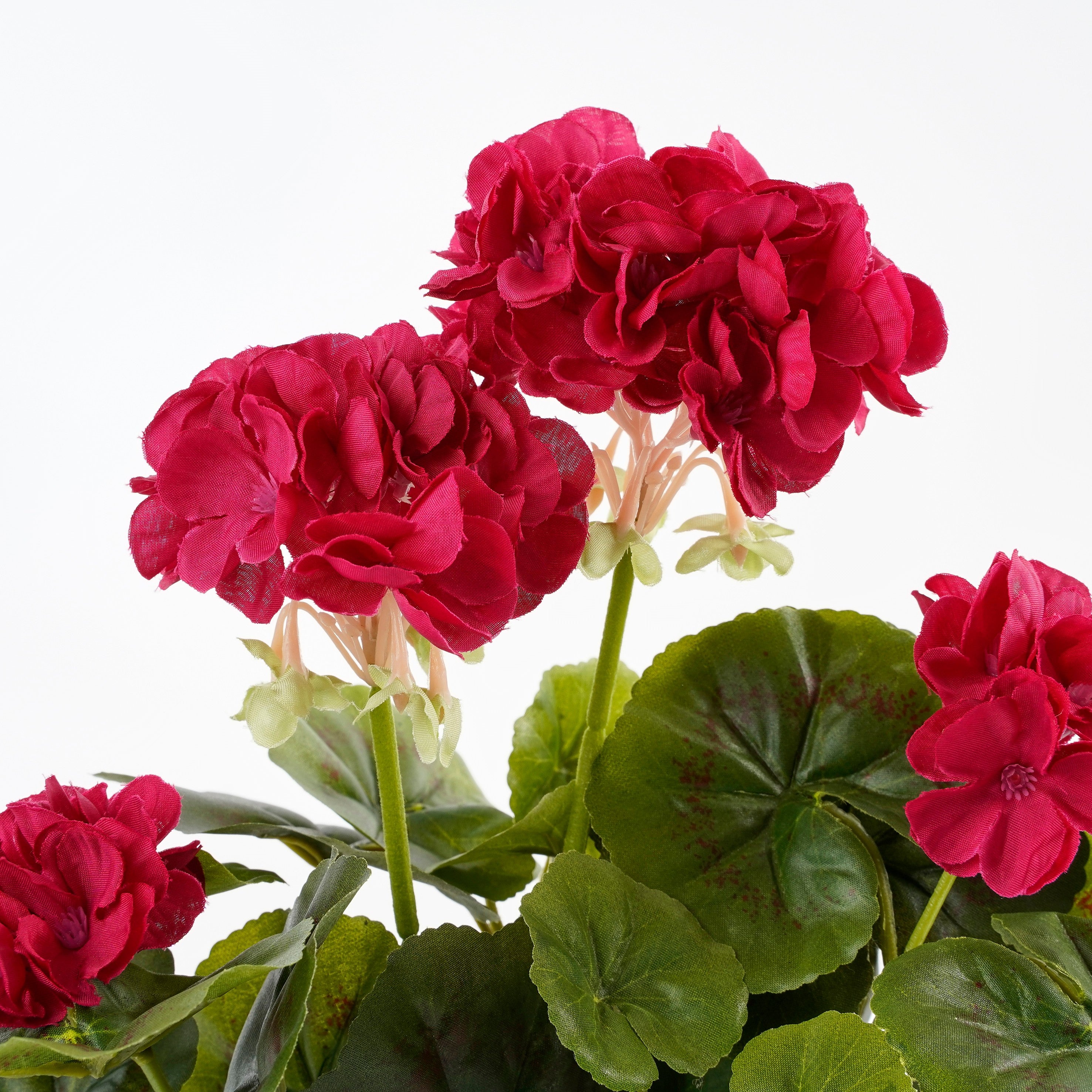 Sztuczna pelargonia w doniczce, MICA DECORATIONS, wys. 34 cm - 2