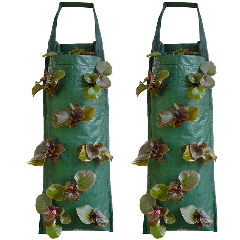 Grow Bags, Sacchi Per Piante Da Giardino 5 10 Galloni/40L Tessuto Non Tessuto Traspirante Con Maniglie 86136273