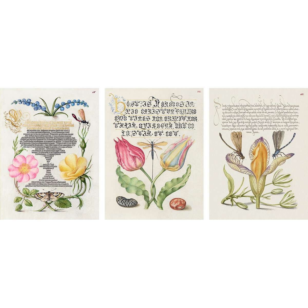 ART PRINT CAFE' – Set di 3 poster vintage (stampe su carta