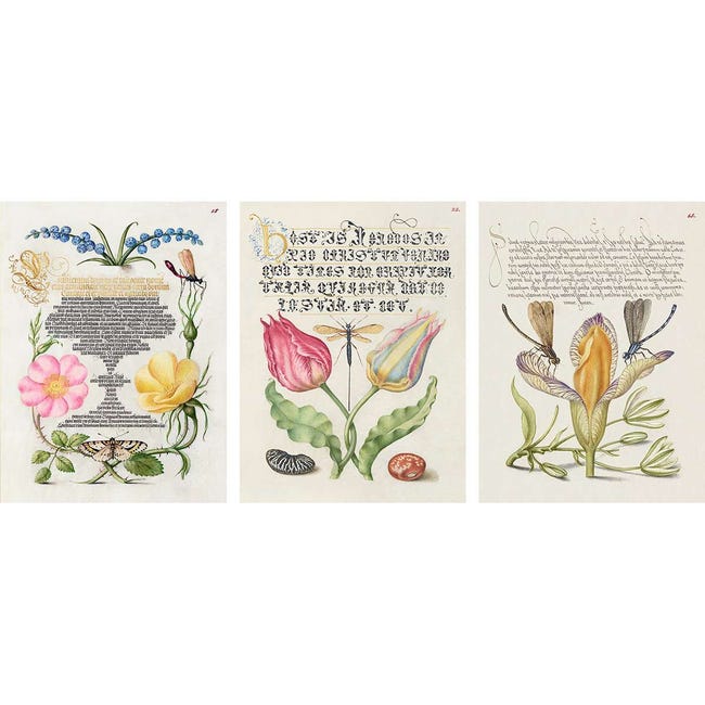 ART PRINT CAFE' – Set di 3 poster vintage (stampe su carta ART PRINT CAFE' – Set di 3 poster vintage (stampe su carta