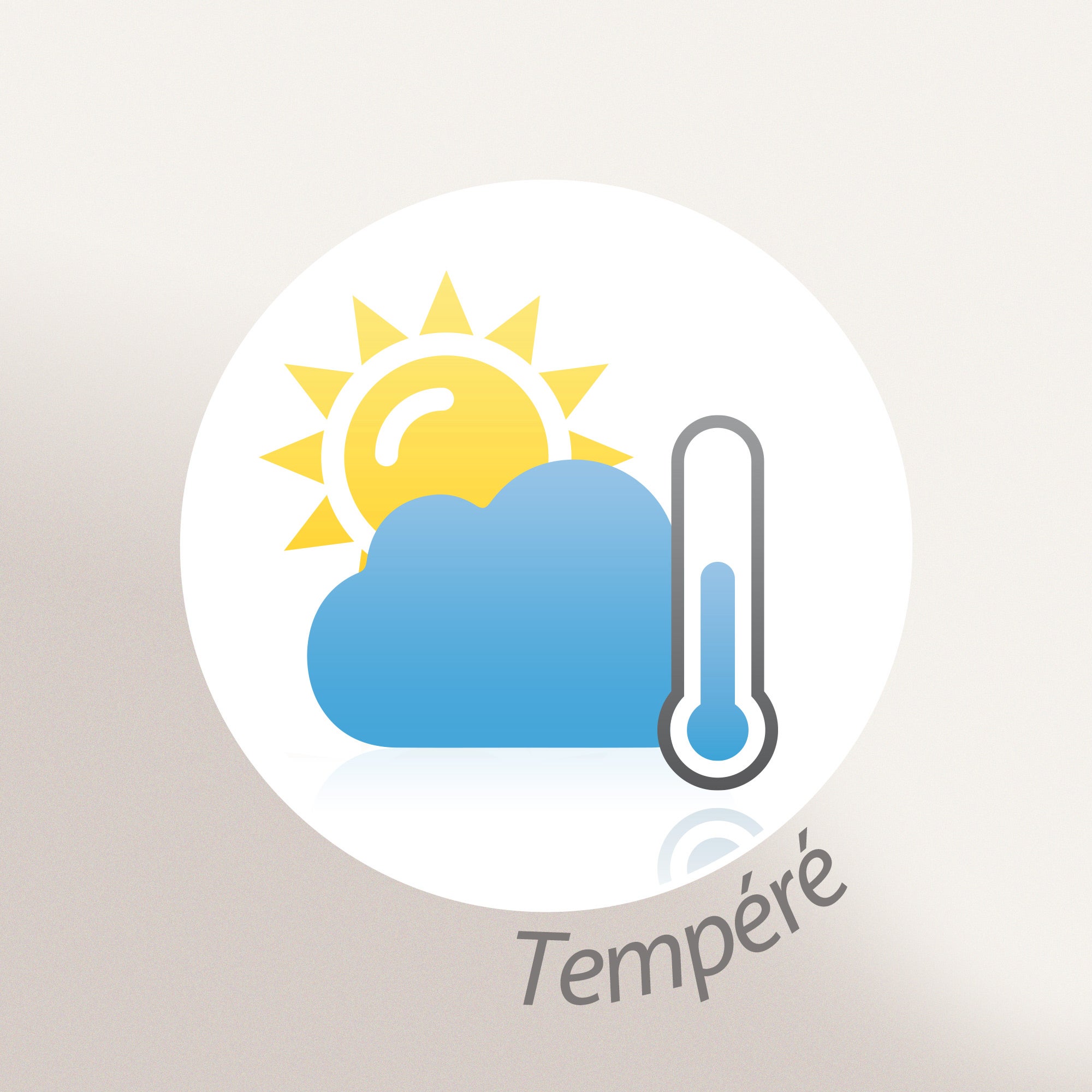 Couette tempérée 260x240 cm CARESSE garnissage polyester 375 g/m2 - 9