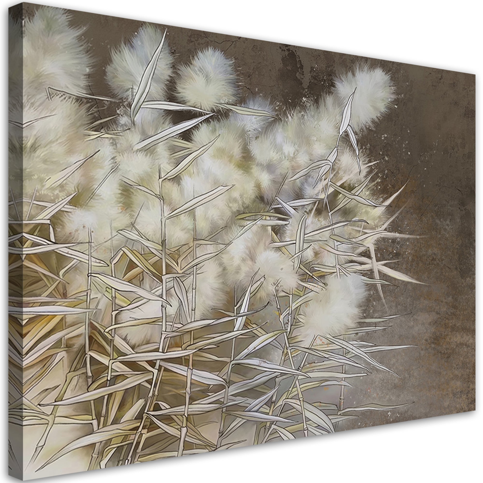 Obraz na płótnie, Trzcina trawa boho 120x80