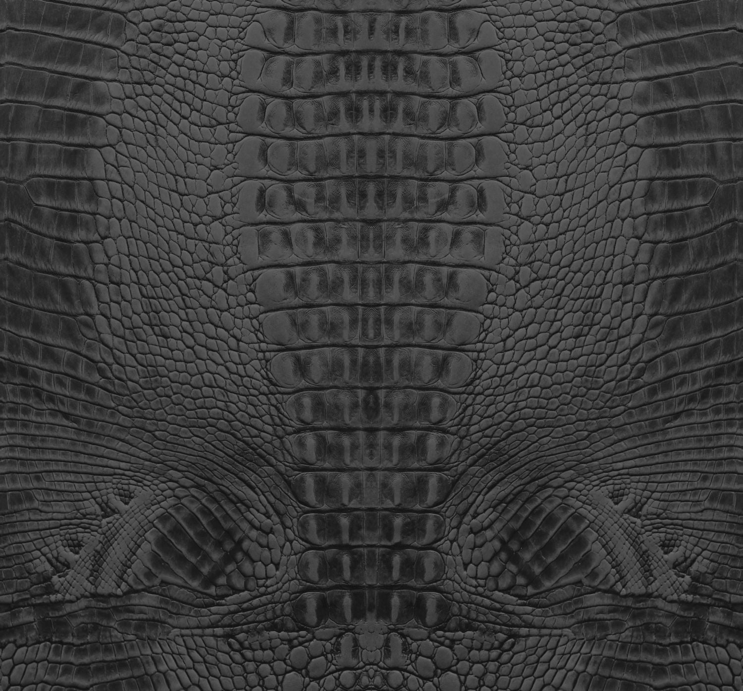 Fototapeta skóra krokodyla czarnym - 300 x 279 cm - ORIGIN