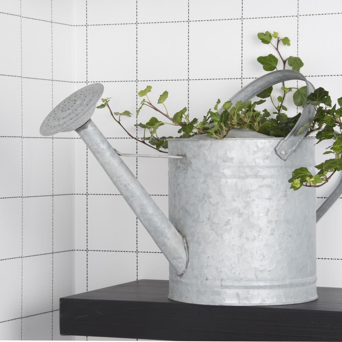Arrosoir avec pommeau de douche pour jardin 8,7 L - 2