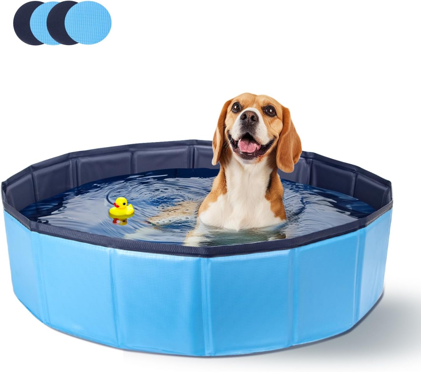 Piscine Pour Chien Rigide Bassin Baignoire Pliable Pour Petit Et piscine-pour-chien-rigide-bassin-baignoire-pliable-pour-petit-et