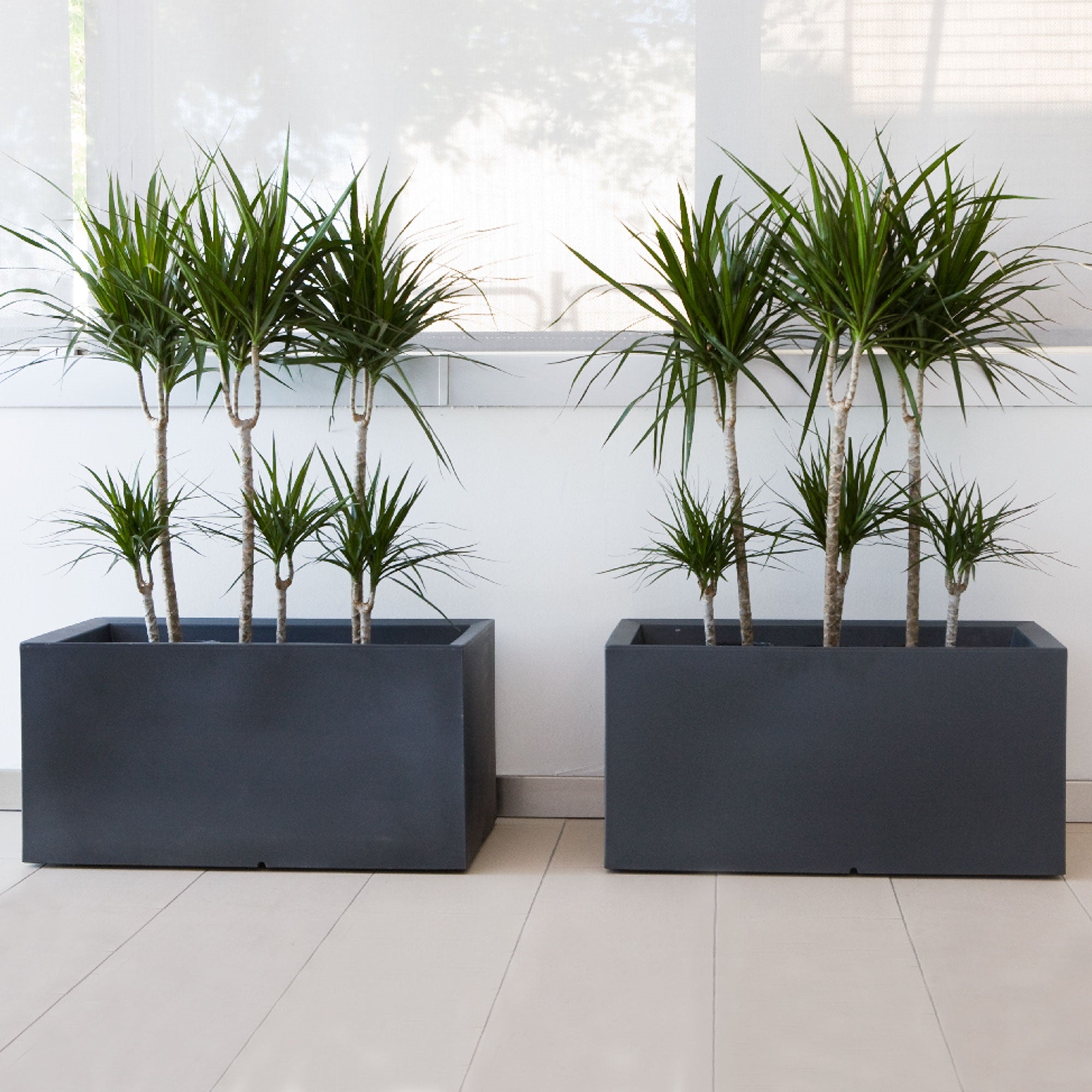 Vaso de polietileno de 195 litros, 100x45cm, WellHome - 4